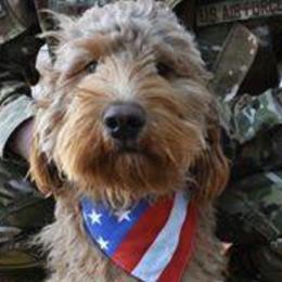 Bernedoodles and Goldendoodles from Kimberlee’s Kennels