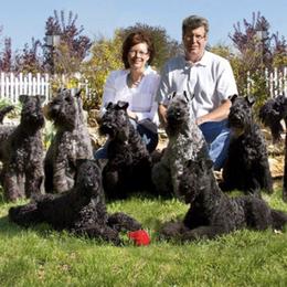 Kerry Blue Terriers from KRISMA Kerry Blue Terriers