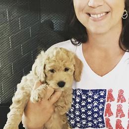 Goldendoodles from It's a Goldendoodle Thing