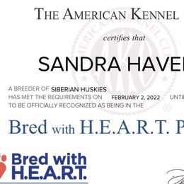 Siberian Huskies from Haven of Free Spirits