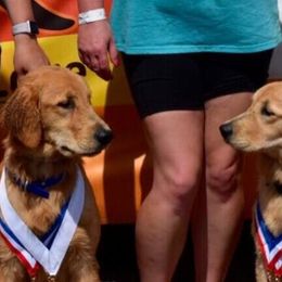 Golden Retrievers from Briarwood Lane Golden Retrievers