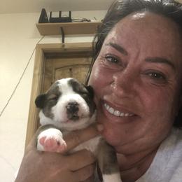 Border Collie Puppies from Burke BC’s