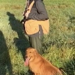 Golden Retrievers from White Birch Golden Retreivers LLC