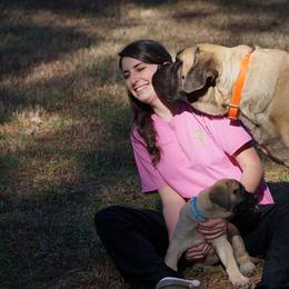 Mastiff Puppies from Two Ponds Mastiffs