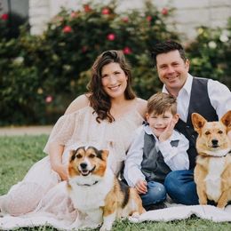 Pembroke Welsh Corgi All Grown Up from The Hallway Farm