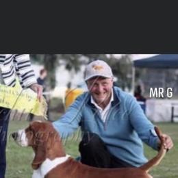 Mr. G - Basset Hound