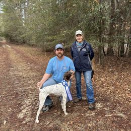 Flint - German Shorthaired Pointer