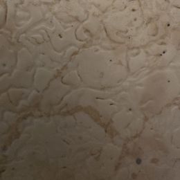 Merle male - Chocolate and white male Havapoo puppy in Medina, Ohio from Momma's Mastiffs