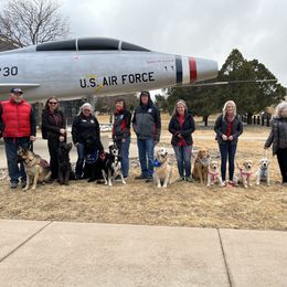 Labrador Retriever Puppies from Armory Labradors