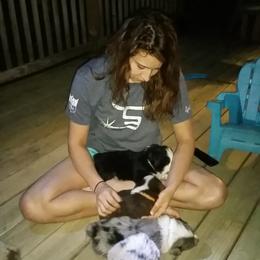 Australian Shepherd Puppies from Johnson Aussies
