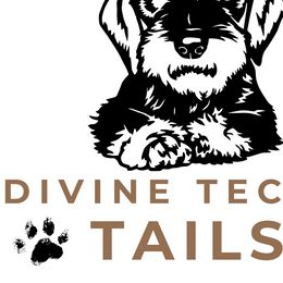 Dachshunds from Divine Teckel Tails