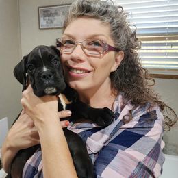 Boxer Puppies from Liebe Boxers