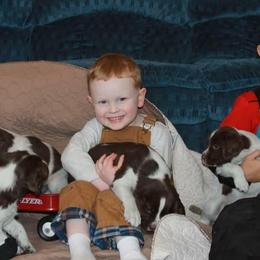 English Springer Spaniel Puppies from Whisky River Gun Dogs