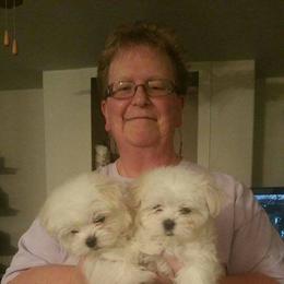 Maltese Puppies from JoDi's Maltese