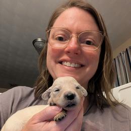 PurpleishBlue - Light golden female Golden Retriever puppy in Madison, Ohio from Heckmans English Cream Golden Retrievers