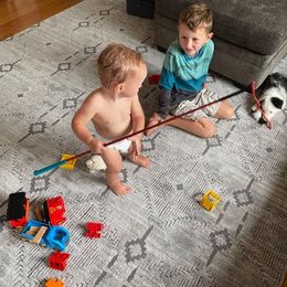 Border Collie Puppies from Cascade Sun Kennels