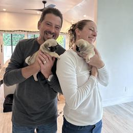 Pug Puppies from Pug Perfection Puppies
