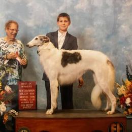 Borzoi Puppies from Ivanhoe Borzoi