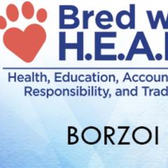 Borzois from Big River