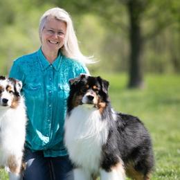 Australian Shepherds from IvyFarm Aussies