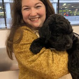 Light Blue Collar Boy - Black male Australian Labradoodle puppy in Wake Forest, North Carolina from Lucky Country Labradoodles
