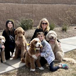 Goldendoodle and Poodle Puppies from Golden-Doods and Company