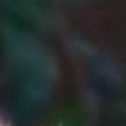 German Shepherds and Miniature Australian Shepherds from Haus Bossard German Shepherds