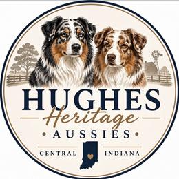 Australian Shepherd Puppies from Hughes Heritage Aussies