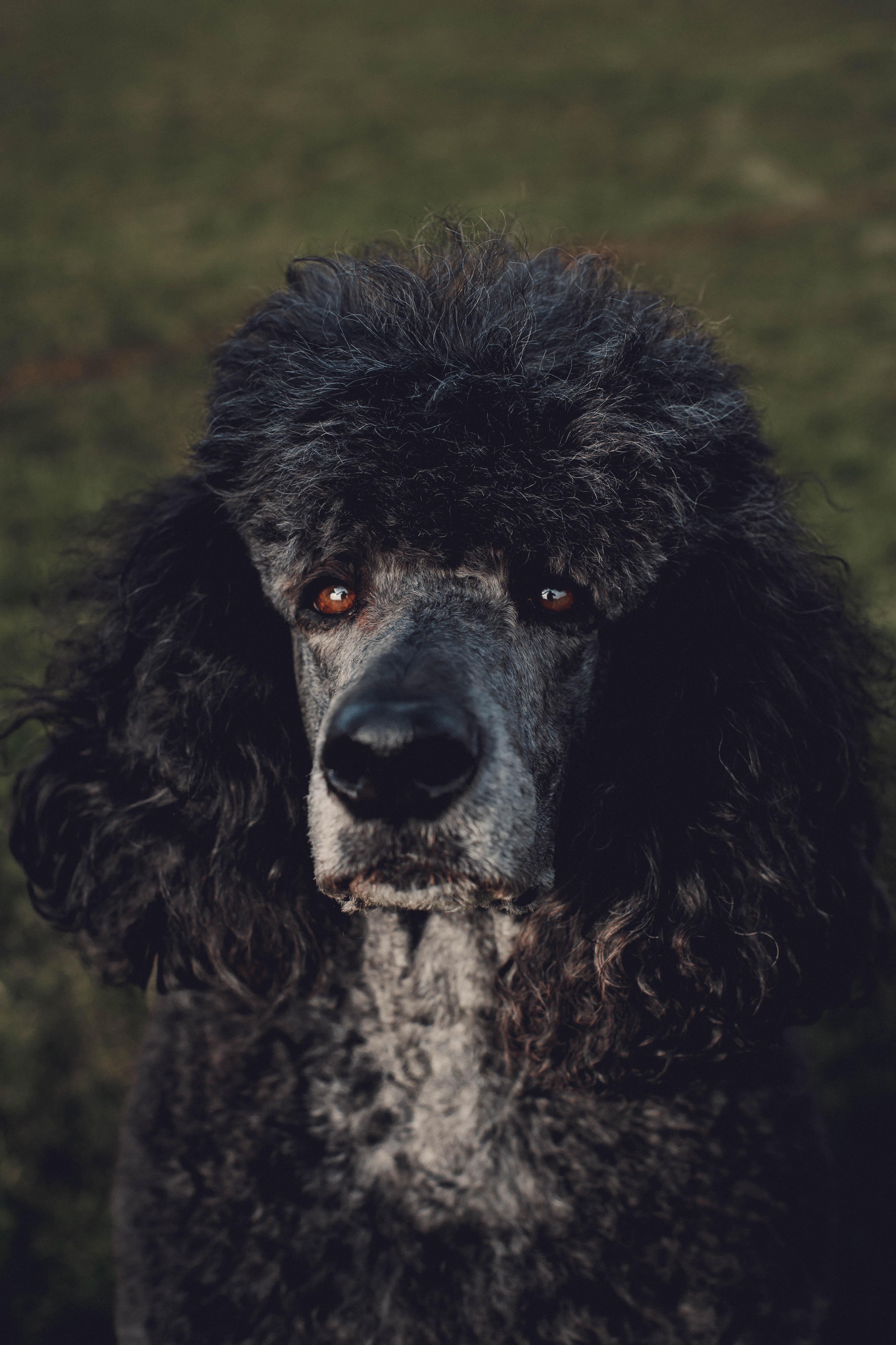Ragnar