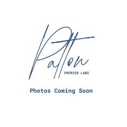 Boy1 - male Labrador Retriever puppy in Charlotte, North Carolina from Patton Premier Labs
