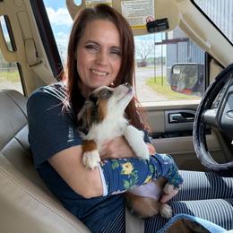 Fancy - Blue merle female Miniature Australian Shepherd puppy in Dallas, Waco, And Tyler, Texas from Beulah Aussie Farms Texas