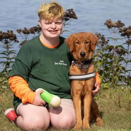 Golden Retrievers from Oceans Breeze Golden Retrievers
