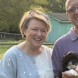 Havanese, Havapoos, Maltipoos, Miniature Schnauzers, Poodles, and Schnoodles from Mashburns Little Munchkins