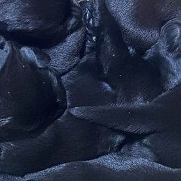 Jelly Bean-wine red collar - Black Labrador Retriever puppy in Springfield, Missouri from Kellner Labradors