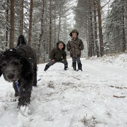 Pyredoodle and Sheepadoodle Puppies from Davis Family Doodles