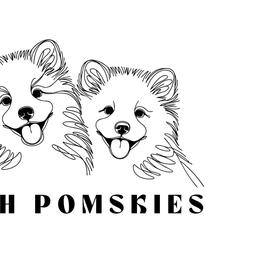 Pomskies from H & H Pomskies
