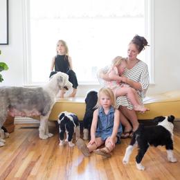 Old English Sheepdog and Sheepadoodle Puppies from Doodlefolk