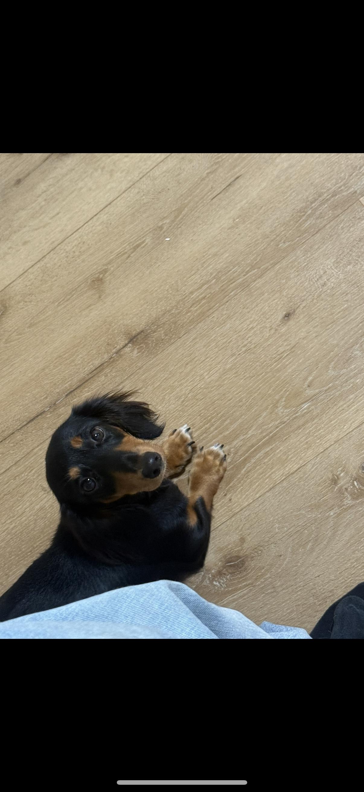 Remy