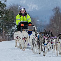 Siberian Huskies from Yukikaze Siberians