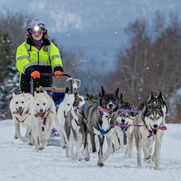 Siberian Huskies from Yukikaze Siberians