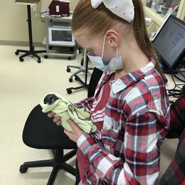 French Bulldog Puppies from Willow Farm