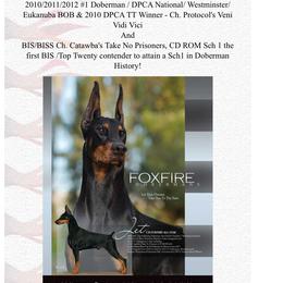 Doberman Pinscher Puppies from Ocean’s Breeze Doberman Pinschers