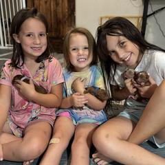 Double Doodle puppies from Walk with Me Doodles