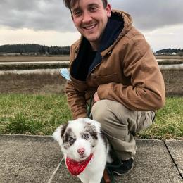 Border Collie and Maremma Sheepdog Puppies from 2J 2K Border Collies & Maremma Sheepdogs