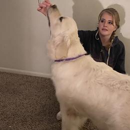 Star - Golden Retriever