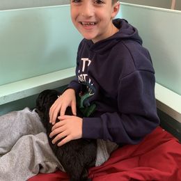 German Shepherd Puppies from Cindy Davis