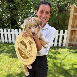 Arnold- Red Merle - Red merle male Australian Shepherd puppy in Hugo, Colorado from Frying Pan Ranch Australian Shepherds
