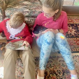 German Shepherd Puppies from Ransomshire Shepherds