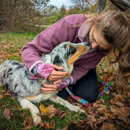 Dally - Australian Shepherd