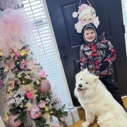 Samoyed puppies from Misha's Samoyeds